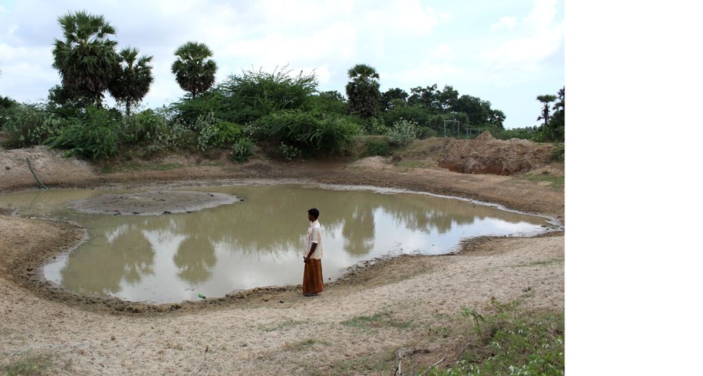 Farm ponds have increased water levels in Alangadu village. Such ponds can be a source of water for cattle and crucial for vegetable farming. R Thilakar, a farmer, says: ‘Farm ponds are a must in every farm. They can save rain water, and people can practise aquaculture to increase their incomes.’